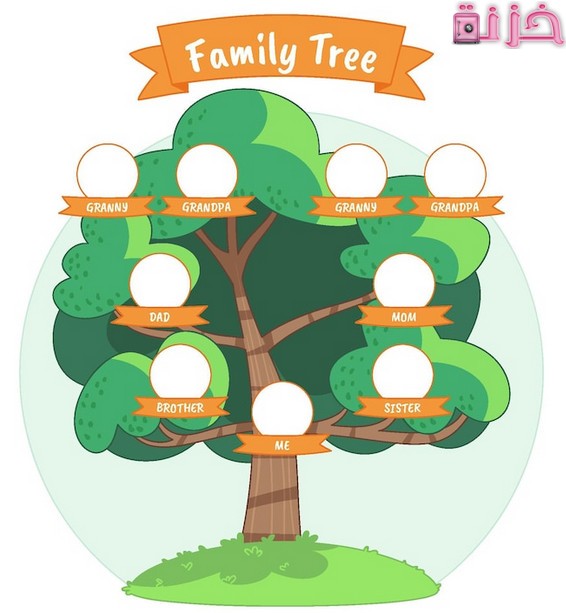 معرفة شجرة العائلة بالرقم القومى فى مصر