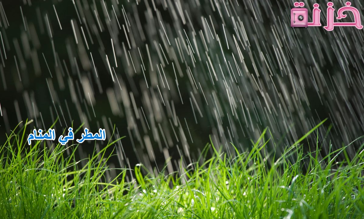 المطر في المنام