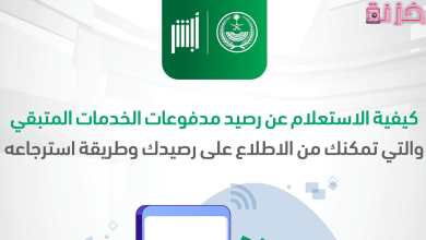 استعلام عن رصيد المدفوعات