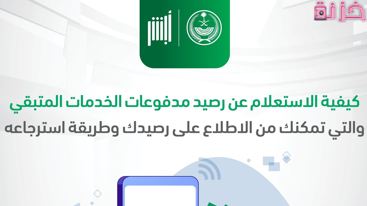 استعلام عن رصيد المدفوعات