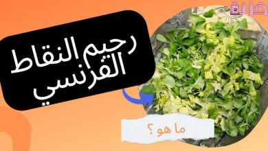 رجيم النقاط الفرنسي