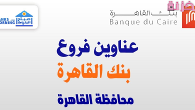 فروع بنك القاهرة