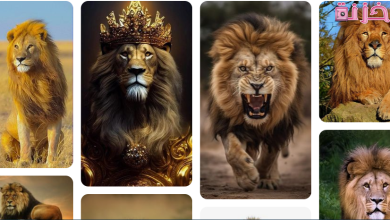 مواصفات برج الاسد