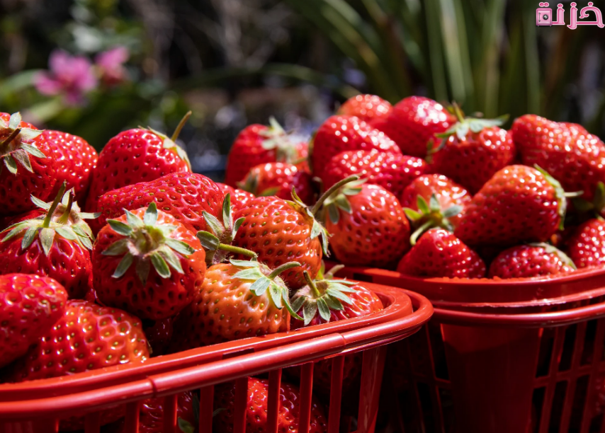 الفراولة في المنام