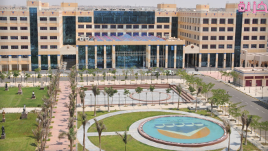 كليات جامعة 6 أكتوبر