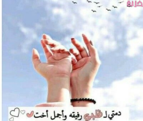 أرقي بوستات عن الأصدقاء 