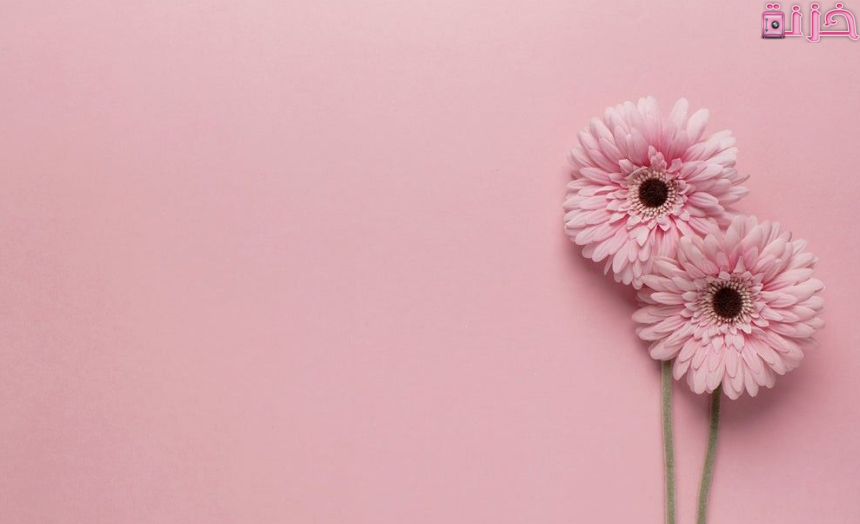 خلفيات كمبيوتر طبيعية جميلة