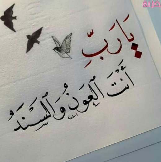 حالات واتس اب