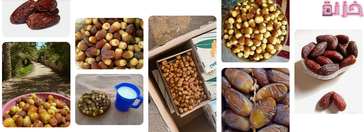 البلح في المنام