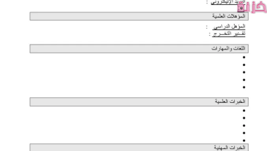 نموذج سيره ذاتيه