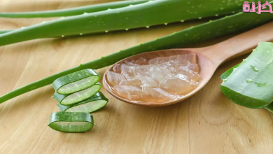 فوائد الصبار للشعر