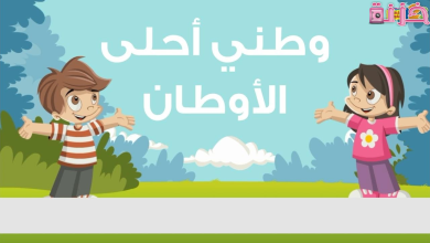 كلمة عن الوطن