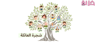كيف اعرف شجرة عائلتي في مصر