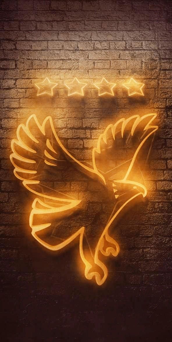 صور الأهلي الجديدة