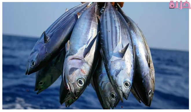 تفسير حلم السمك للمتزوجة