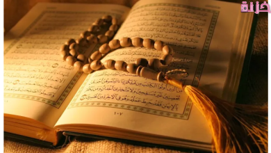 كم عدد سور القران الكريم