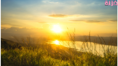 عبارات صباحية