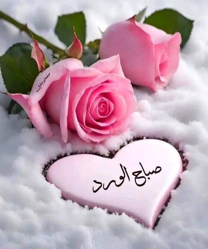 صور صباح الورد مع دعاء