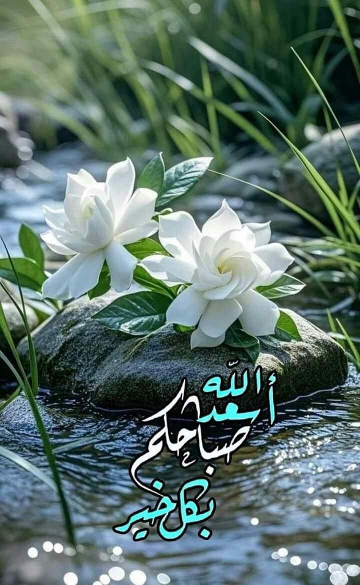 صور اسعد الله صباحكم بكل خير