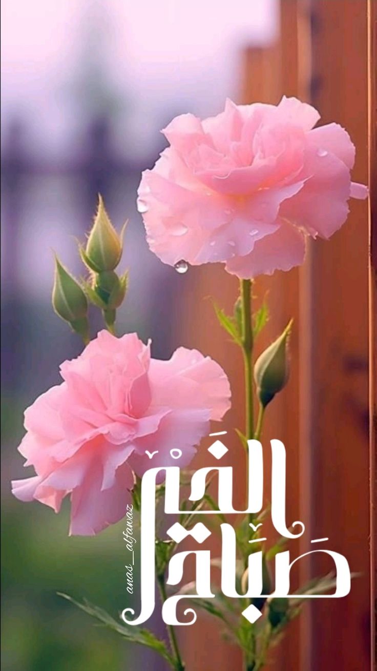 صباح الخير والسعادة والأمل بالله