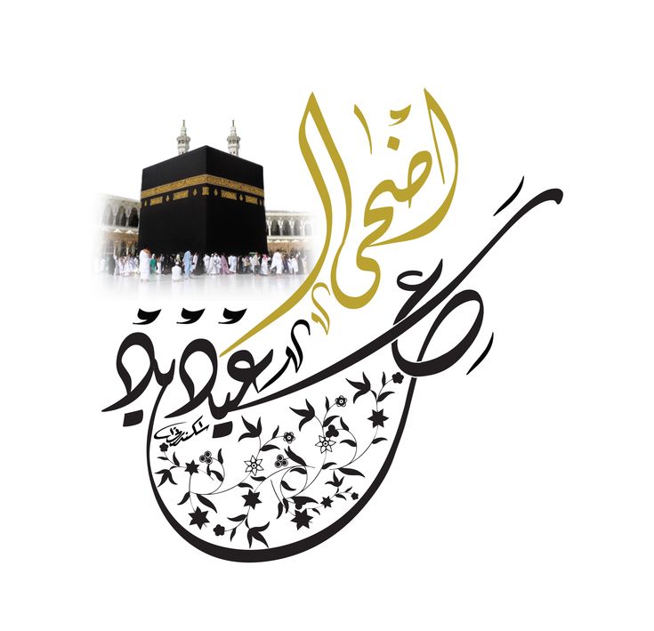 أجمل صور عيد الاضحى