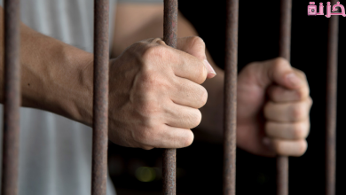 كيفية الكشف عن الاحكام الجنائية بالرقم القومى