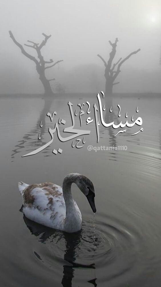 صور مساء الخير للفيس بوك