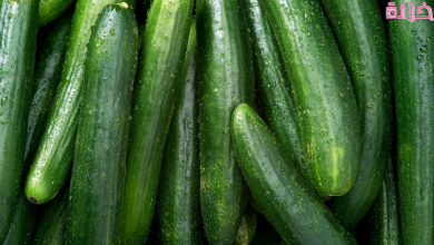 فوائد الخيار