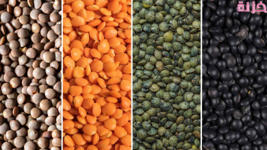 العدس في المنام