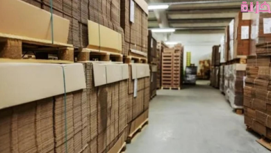 دراسة جدوى مشروع مصنع كرتون