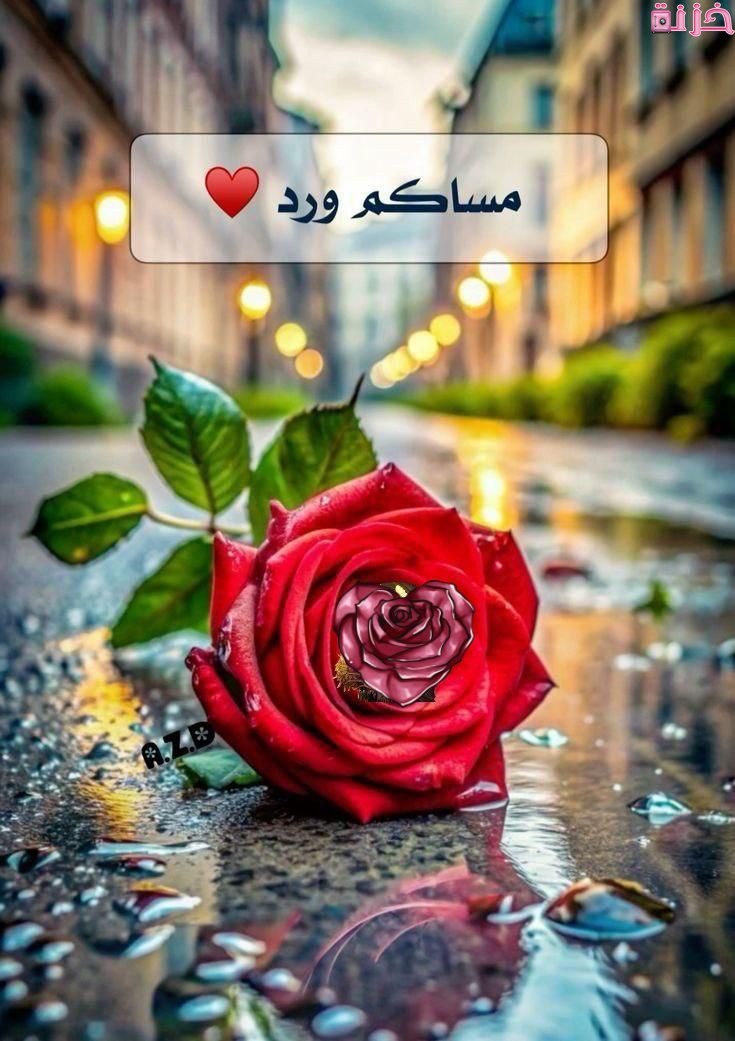 صور مساكم ورد وفل وياسمين