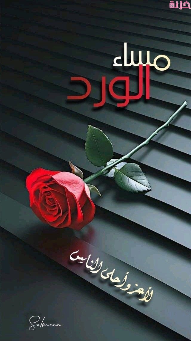 أجمل صور مساء الورد رومانسية