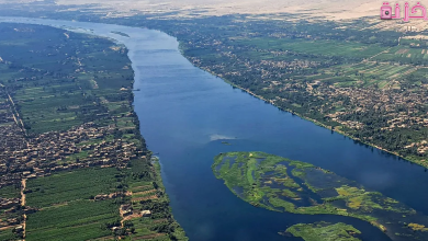 موضوع تعبير عن نهر النيل بالعناصر والاستشهادات بالمقدمة والخاتمة