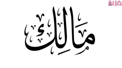 معنى اسم مالك وصفاته في الاسلام