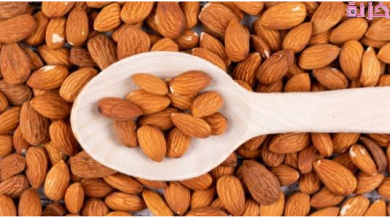 فوائد اللوز للمتزوجين وللدماغ وتقوية الذاكرة