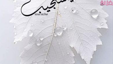 بوستات دينية حديثة مصورة