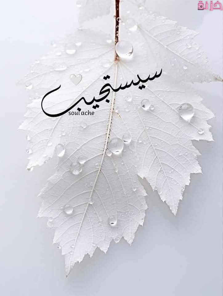 بوستات دينية حديثة مصورة