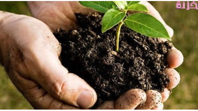 مشروع لا يحتاج خبرة