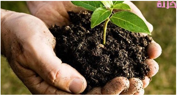 مشروع لا يحتاج خبرة