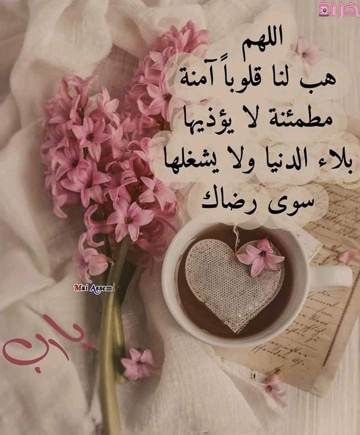 خلفيات آيات قرآنية ورد