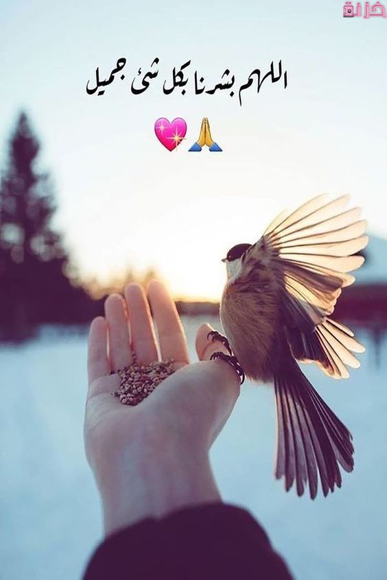 صور بروفايل حب انستا