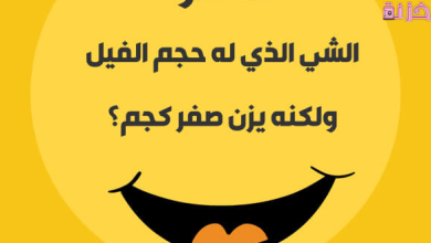أسئلة عامة سهلة ومضحكة