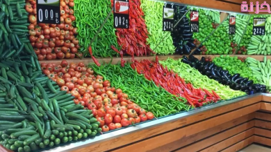 دراسة جدوى مشروع محل خضار وفواكه