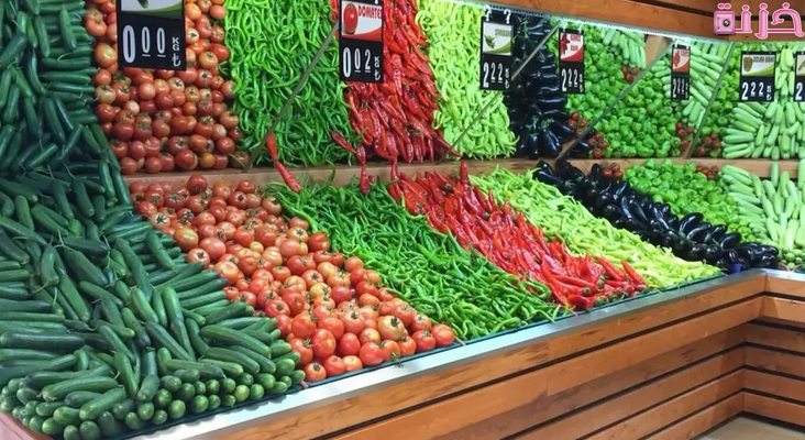 دراسة جدوى مشروع محل خضار وفواكه