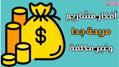 افكار مشاريع صغيرة مربحة جدا وغير مكلفة