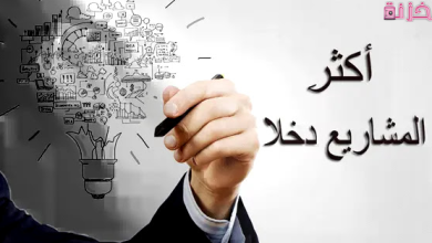 أكثر المشاريع دخلا في مصر