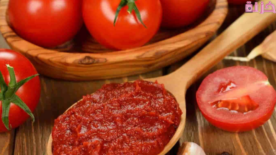 صناعة معجون الطماطم في المصنع خطوة بخطوة