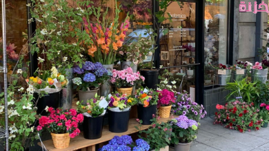 أفضل محل لبيع الورد والزهور في السعودية