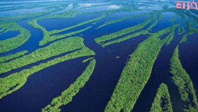 فائمة اطول انهار العالم بالترتيب وماهو أطول نهر