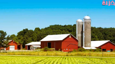 تكلفة ودراسة جدوى مشروع مزرعة متكاملة